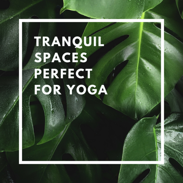 tranquil spaces perfect for yoga